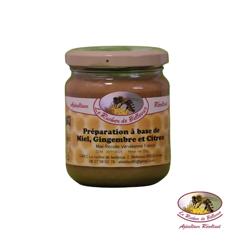 C4 Préparation de Miel et Citron Gingembre 250g