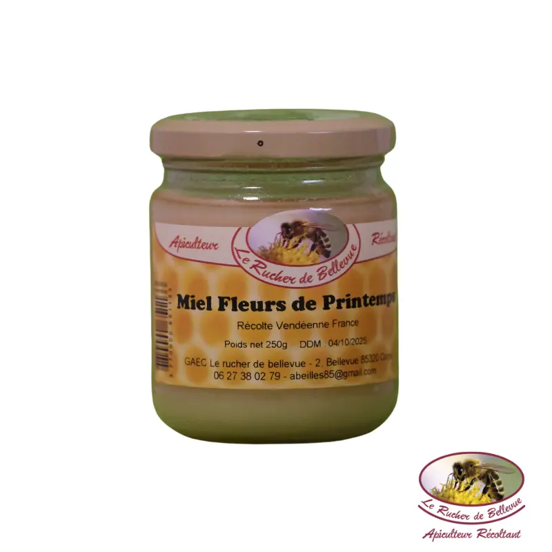 A3 Miel de printemps 250g